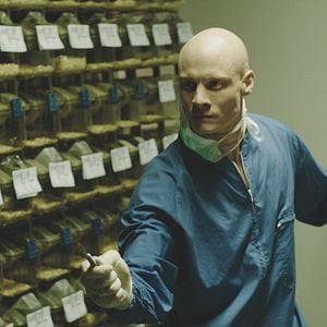 Bilder Errors Of The Human Body