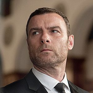 Bilder Ray Donovan