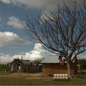 Bilder The Eternal Night of Twelve Moons