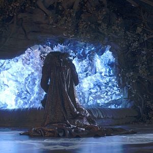 Bilder Die Schöne und das Biest