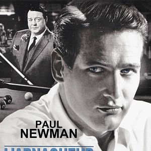 Bilder Haie der Großstadt