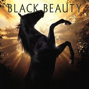Bilder Black Beauty