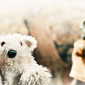 Bilder Geld her oder Autsch'n!