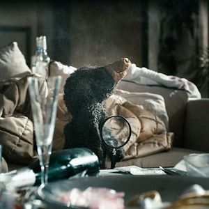 Bilder Geld her oder Autsch'n!