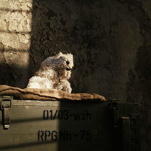 Bilder Geld her oder Autsch'n!