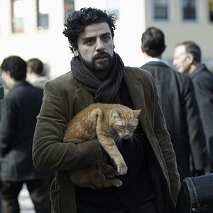 Bilder Oscar Isaac