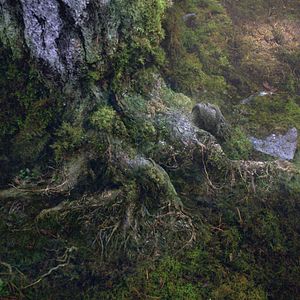 Bilder Percy Jackson 2 – Im Bann des Zyklopen