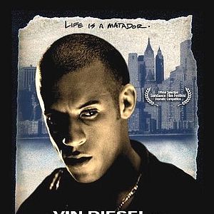 Bilder Strays - Lebe dein Leben