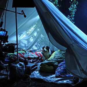 Bilder Fünf Freunde 2