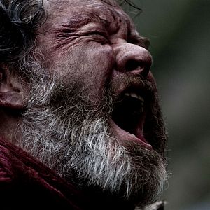 Bilder Das Blut der Wikinger