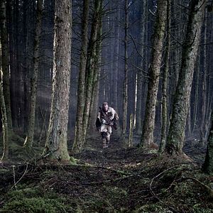 Bilder Das Blut der Wikinger