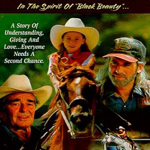 Bilder Ein Pferd für Sunny