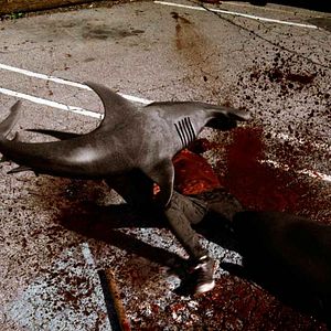 Bilder Sharknado - Genug gesagt!