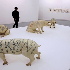 Bilder La Ruée vers l'art