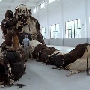 Bilder La Ruée vers l'art