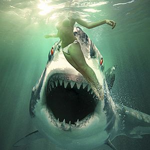 Bilder Ghost Shark - Die Legende lebt