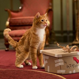 Bilder Die Schlümpfe 2