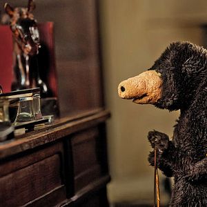 Bilder Geld her oder Autsch'n!