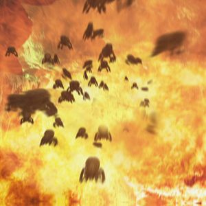 Bilder Dragon Wasps - Mutierter Terror aus der Luft