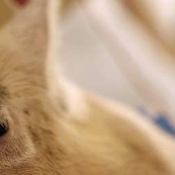 Bilder Upstream Color