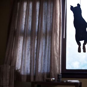 Bilder Revenge For Jolly!