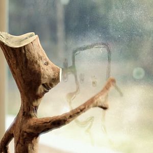 Bilder Knerten in der Klemme