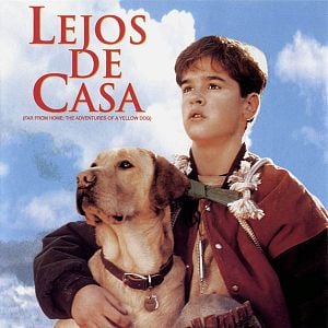 Bilder Gefährliche Wildnis