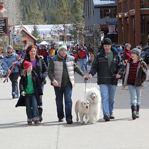Bilder Ein Hund rettet die Weihnachtsferien