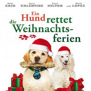 Bilder Ein Hund rettet die Weihnachtsferien