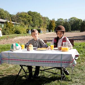 Bilder Das Pferd auf dem Balkon
