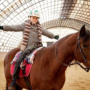 Bilder Das Pferd auf dem Balkon