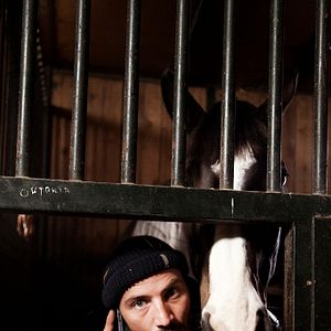 Bilder Das Pferd auf dem Balkon