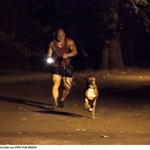 Bilder Lose Your Head