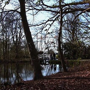 Bilder Les Yeux de Bacuri