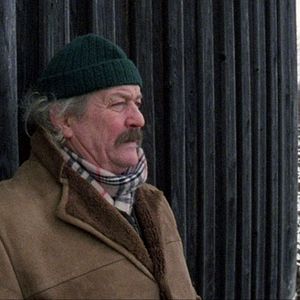 Bilder Der Glanz des Tages