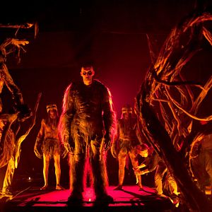 Bilder The Lords Of Salem