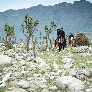 Bilder Korkmaz Arslan