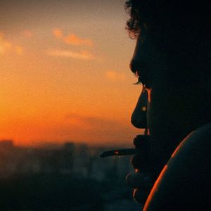 Bilder A Bruta Flor do Querer