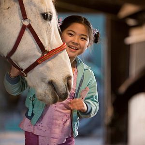 Bilder Wo ist Winkys Pferd?