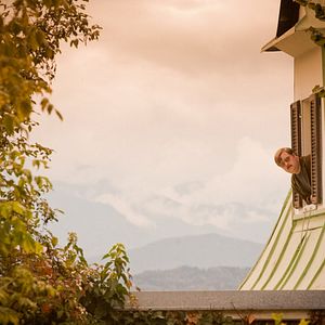 Bilder Kaiserschmarrn