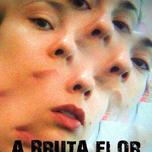 Bilder A Bruta Flor do Querer