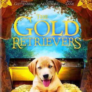 Bilder The Gold Retrievers