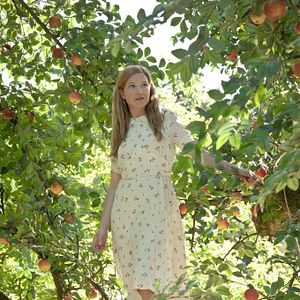 Bilder Der Geschmack von Apfelkernen