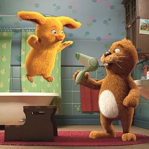 Bilder Keinohrhase und Zweiohrküken