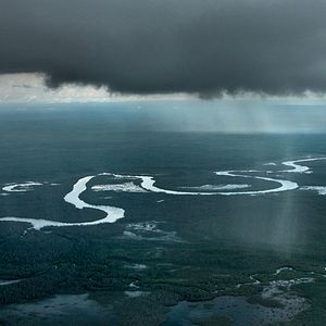 Bilder Amazonia - Abenteuer im Regenwald