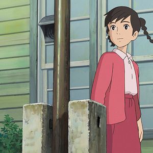 Bilder Der Mohnblumenberg