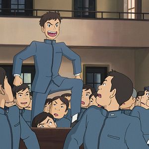 Bilder Der Mohnblumenberg