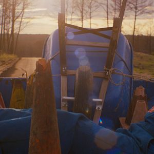 Bilder Prince Avalanche