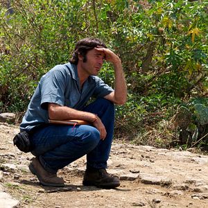 Bilder The Golden Dream