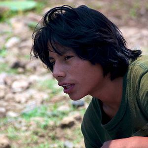 Bilder The Golden Dream